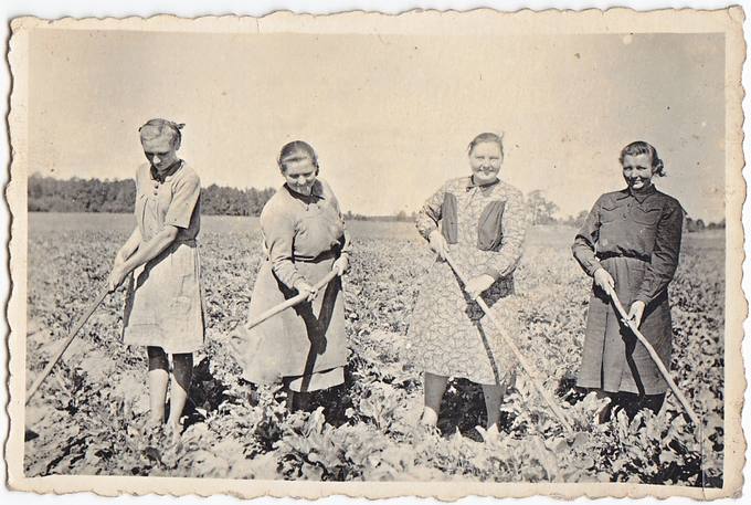 Lauko darbininkės ravi „Pergalės“ kolūkio laukus. Trečia iš kairės – Ona Motiejūnienė